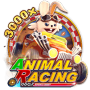 ANIMAL RACING slot artwork
